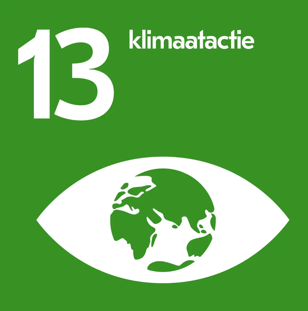 SDG 13 Klimaatactie