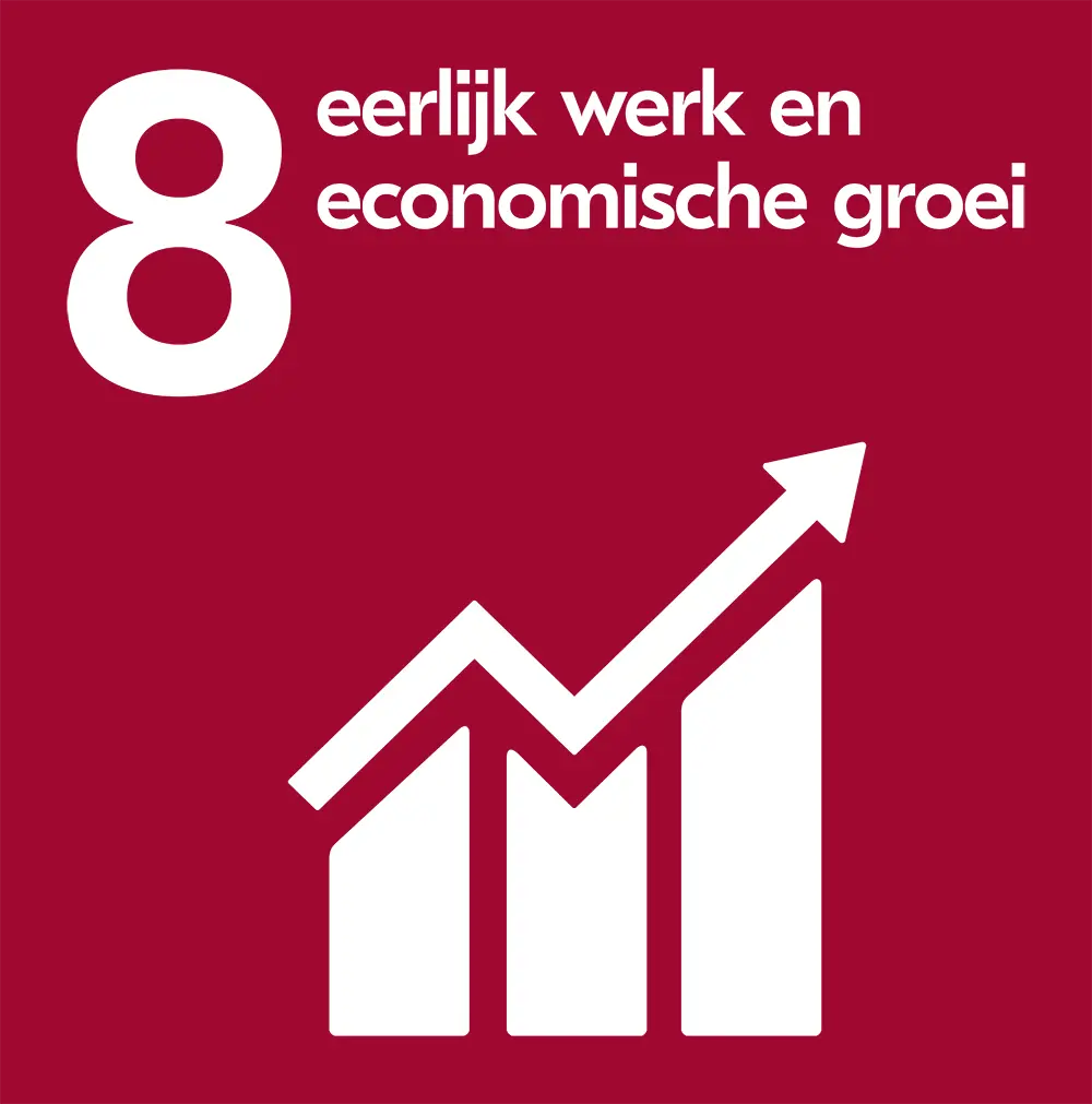 SDG 8 Eerlijk werk en economische groei