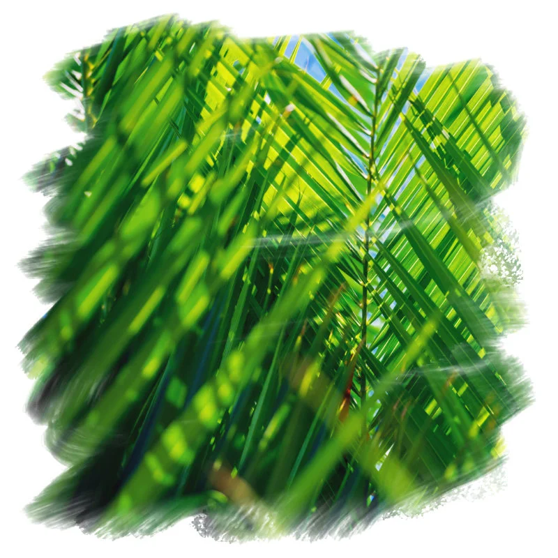 CSRD en facilitaire dienstverlening | Stop met greenwashingCSRD en facilitaire dienstverlening | Stop met greenwashingCSRD en facilitaire dienstverlening | Stop met greenwashingCSRD en facilitaire dienstverlening | Stop met greenwashing