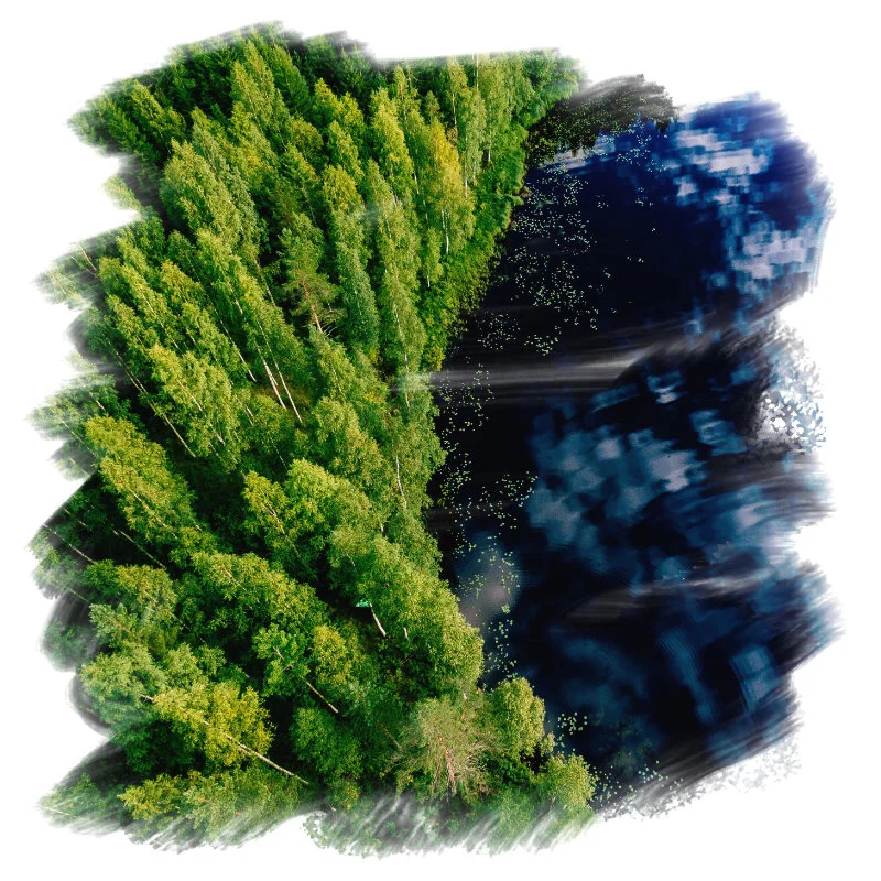 Wat is ESG? Ontdek de betekenis, waarom ESG belangrijk is en hoe je als organisatie duurzaam en toekomstgericht werkt.