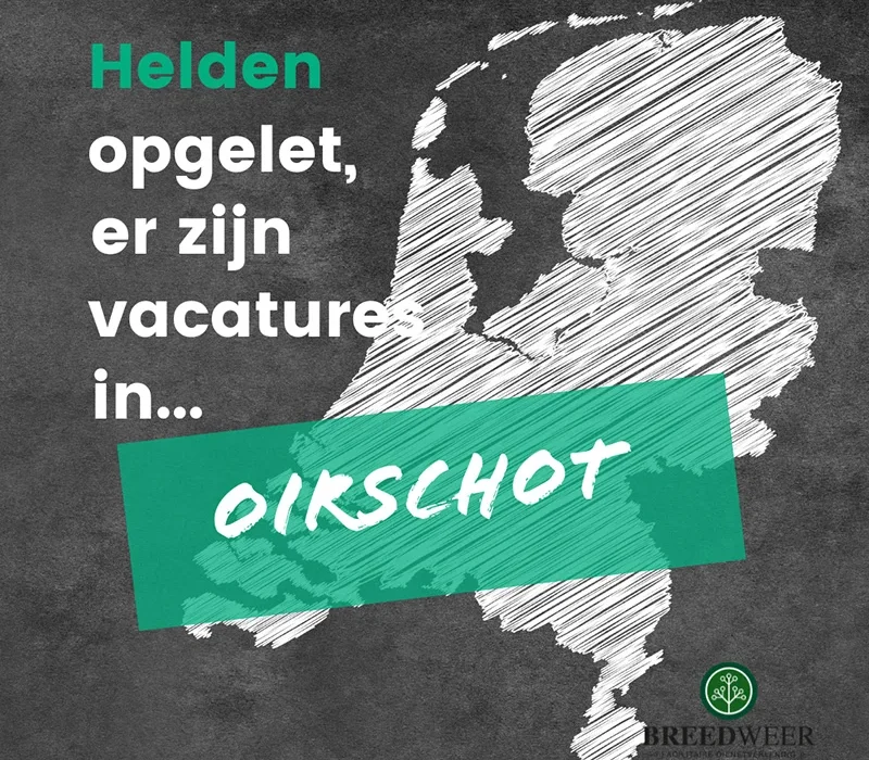 Schoonmaker Oirschot