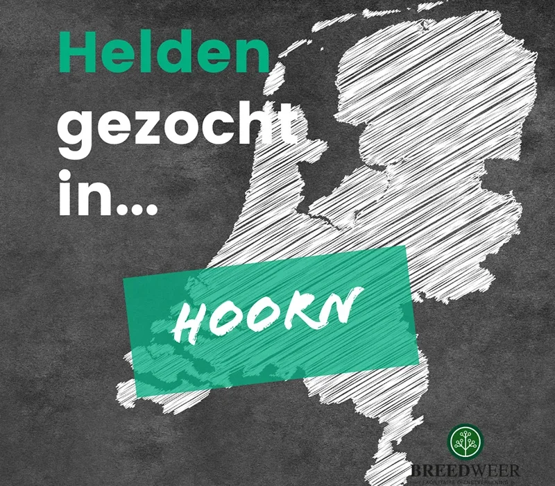Schoonmaker Hoorn